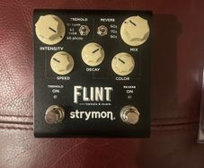 Strymon flint v2