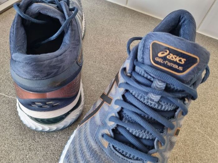 Asics gel nimbus  runners