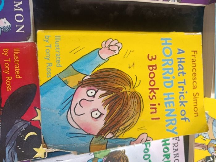 Horrid Henry books