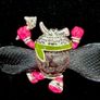 Pandora Disney Parks Exclusive Kakamora Charm - Moana Image 5