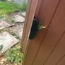 Keter 6x4 plastic shed Image 7
