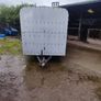 Ivor Williams 12 by 6 cattle trailer Image 4