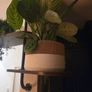 Self-Draining Plant Pot Image 8