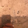 coper bucket Image 3