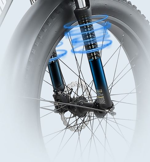 BURCHDA RX20 All-terrain Fat Tire Electric Bike