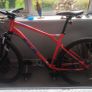 Bike Image 7
