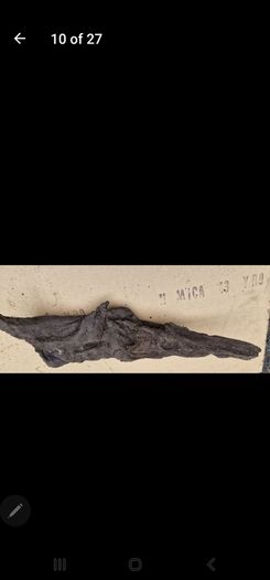 bog oak