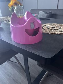 Pink potty