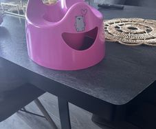 Pink potty