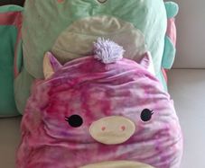 Large Squishmallows