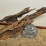 Dragon Wood Image 3