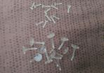 NEW - Set of Transparent Bait Stoppers - Carp Tench Bream Roach Feeder Method