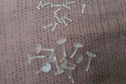 NEW - Set of Transparent Bait Stoppers - Carp Tench Bream Roach Feeder Method
