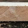 Hardwood timber Image 2