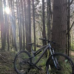 Mountain bike