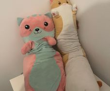 2 Long Cat Plushies