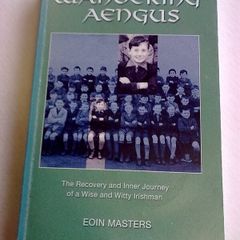Wandering Aengus The recovery and inner journey of a wise and witty Irishman