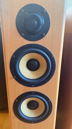 Sony Floor Standing
