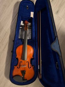 violin