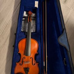 violin