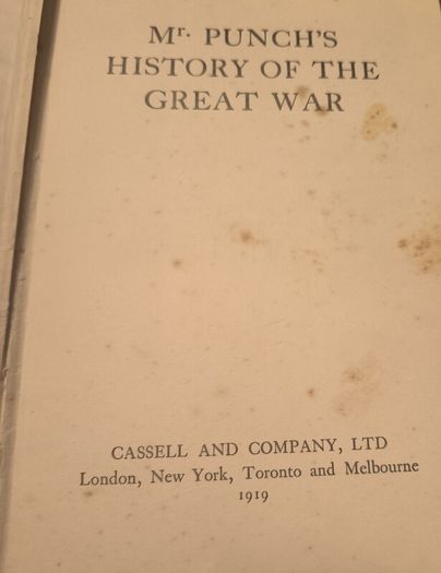 Unique First Edition Book Set 1919 WW1 Illustrated DC Antique and 1929 Vintage Novel