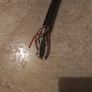 10 Core Spiral Extension Cable. Image 2