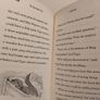 The Riverbank Otter, Sarah Lean Children,s Book Image 5