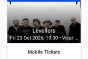 Levellers Vicar Street