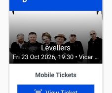 Levellers Vicar Street