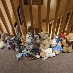 Teddy Bears