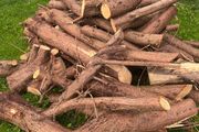 Wood/Logs