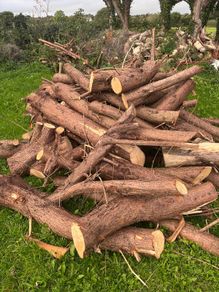 Wood/Logs