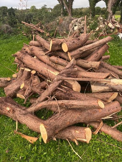Wood/Logs