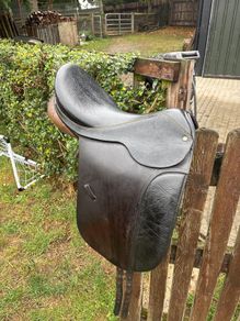 equestrian