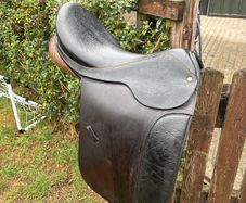 equestrian