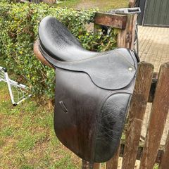 equestrian