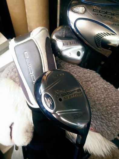 Set of Ladies Golf Clubs