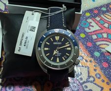 Seiko Land Turtle