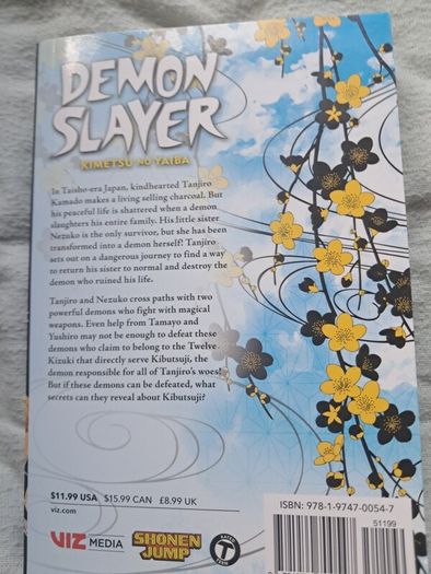 demon slayer vols 1-9