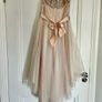 Monsoon Blush Dress Image 5