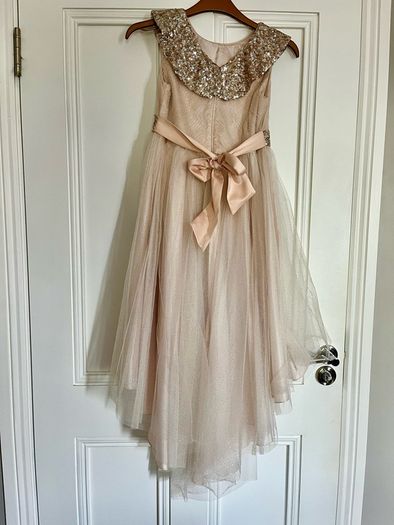 Monsoon Blush Dress