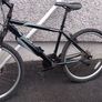 adult bike Image 3