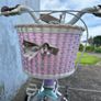 girls bike small child with stabilisers Image 8