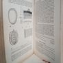 A General Textbook of Entomology: Including the Anatomy, Physiology, Development and Classification of Insects by O. W. Richards and R. G. Davies (RB363) Image 5