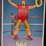 WWE Hulk Hogan vs Terry Funk Mattel Coliseum Collection Figures Image 3