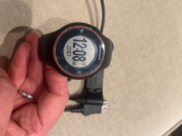 Garmin 310 Watch