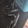 car camping Kyoba cooler box 12v Image 2