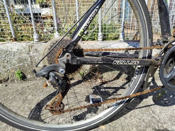 Adult Bike