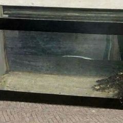 Fish Tank