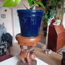 hardwood thai cat plant stand Image 10